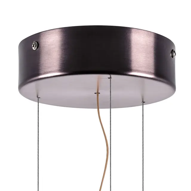 Светильник Lightstar 809210 CELESTA — черный, ракурс 2