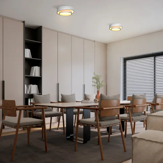 Светильник Lightstar 809416 CELESTA — белый, ракурс 3