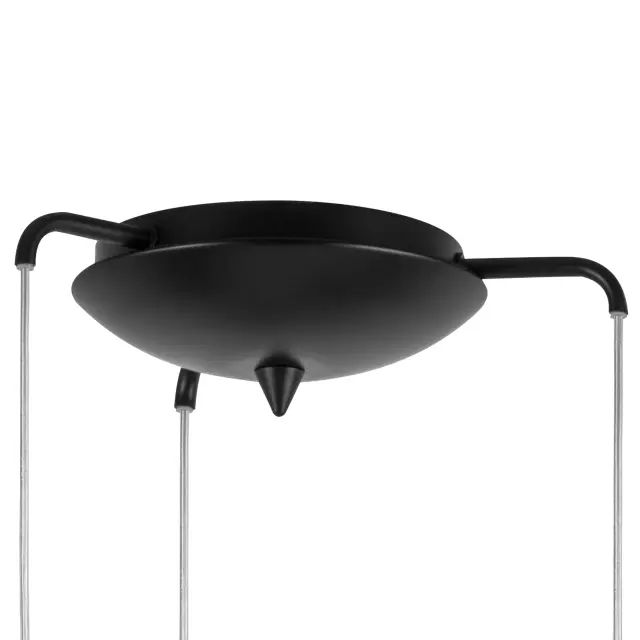 Светильник Lightstar 813137 GLOBO — черный, ракурс 2