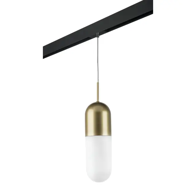 Светильник для однофазного трека Lightstar PRO690113 RAMO — золотой