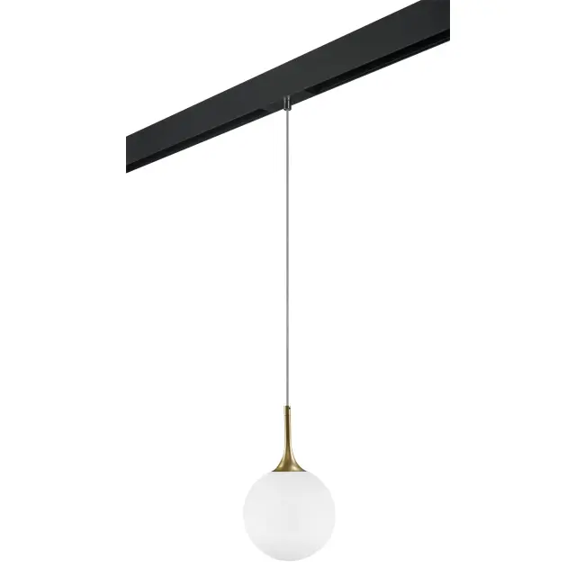 Светильник для однофазного трека Lightstar PRO813022 GLOBO — золотой