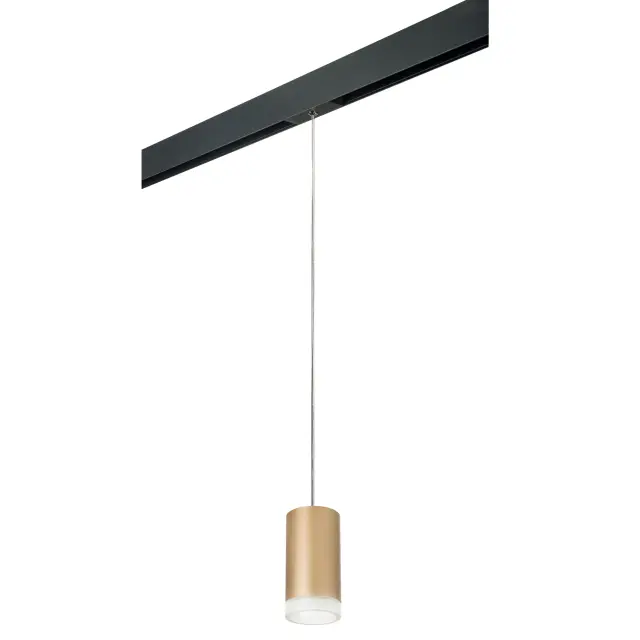 Светильник для однофазного трека Lightstar PRORP44030 RULLO — черный