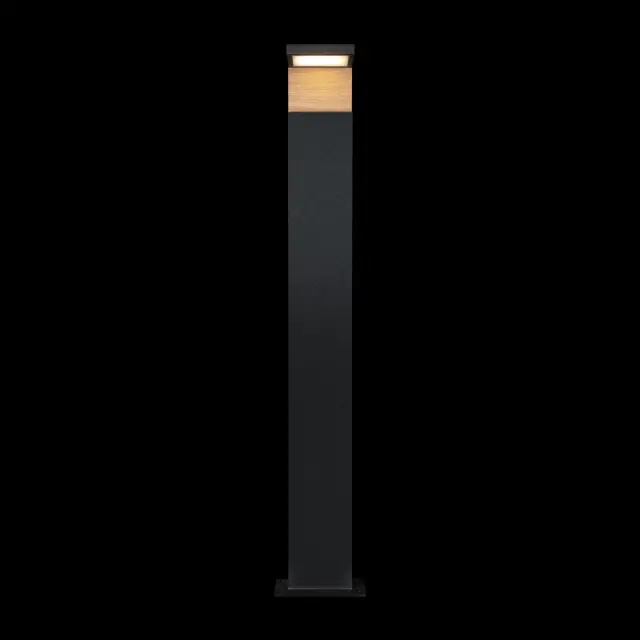 Светильник для улицы Loft IT 100001/1000 OAK — черный, ракурс 2