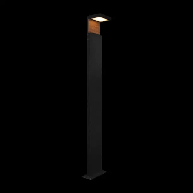 Светильник для улицы Loft IT 100001/1000 OAK — черный, ракурс 4