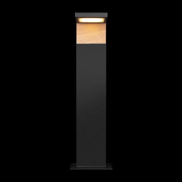 Светильник для улицы Loft IT 100001/600 OAK — черный, ракурс 2