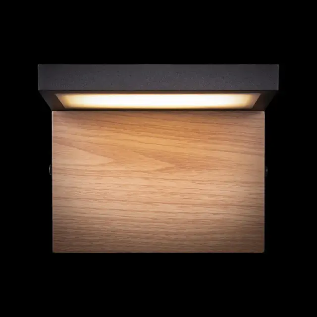 Светильник для улицы Loft IT 100001W OAK — черный, ракурс 7