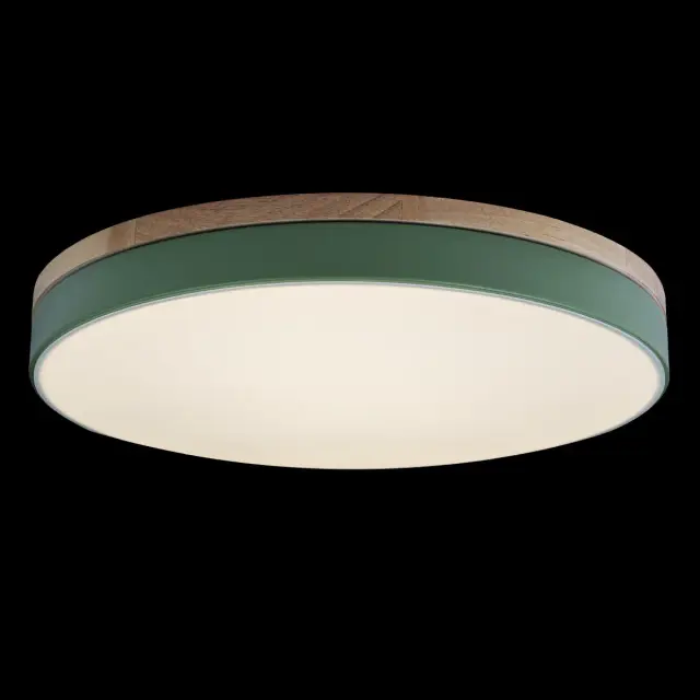Светильник Loft IT 10001/36 Green AXEL — зеленый, ракурс 2