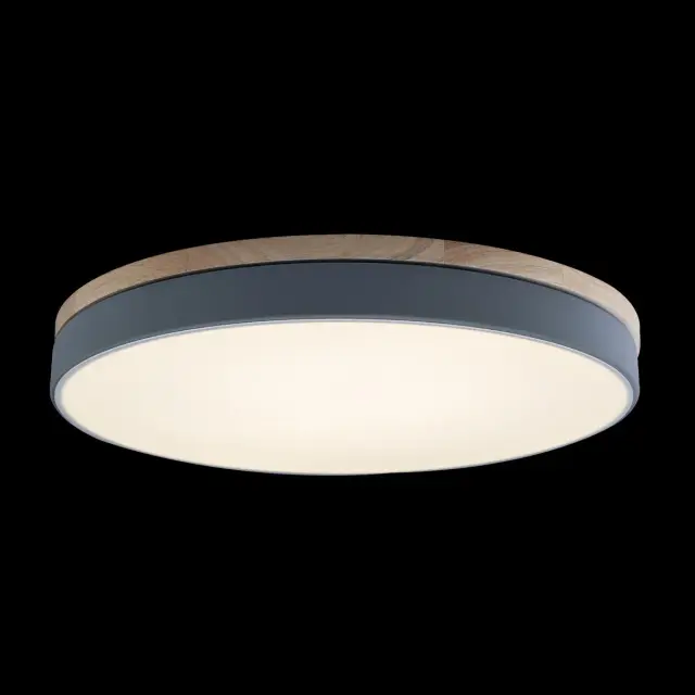 Светильник Loft IT 10001/36 Grey AXEL — серый, ракурс 2