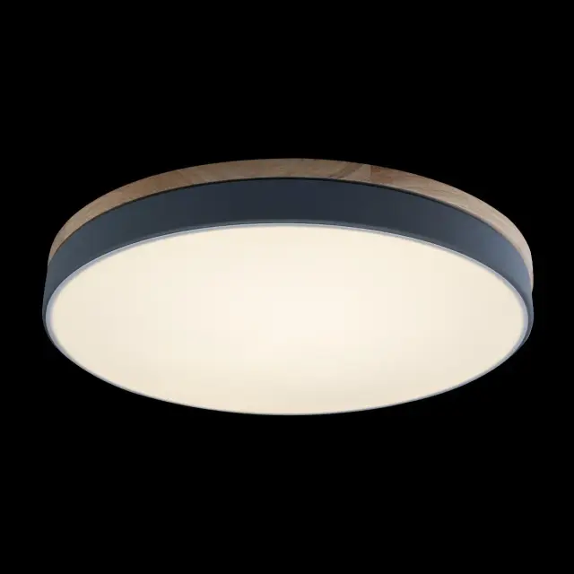 Светильник Loft IT 10001/36 Grey AXEL — серый, ракурс 3