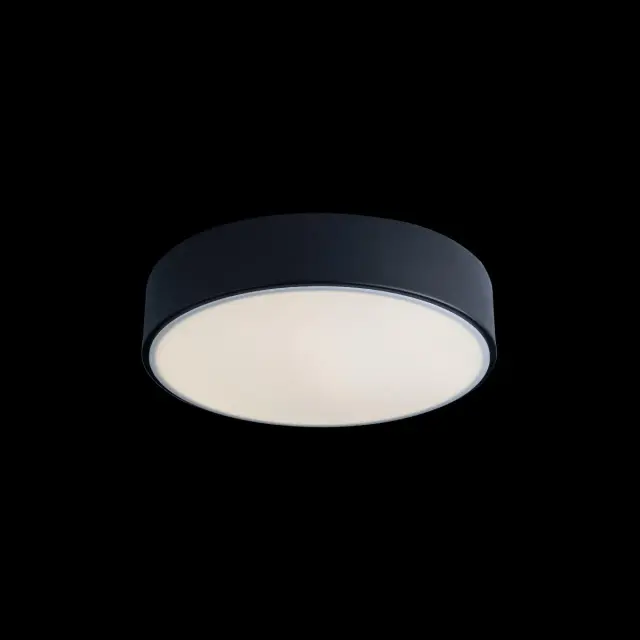 Светильник Loft IT 10002/12 Black AXEL — черный, ракурс 2