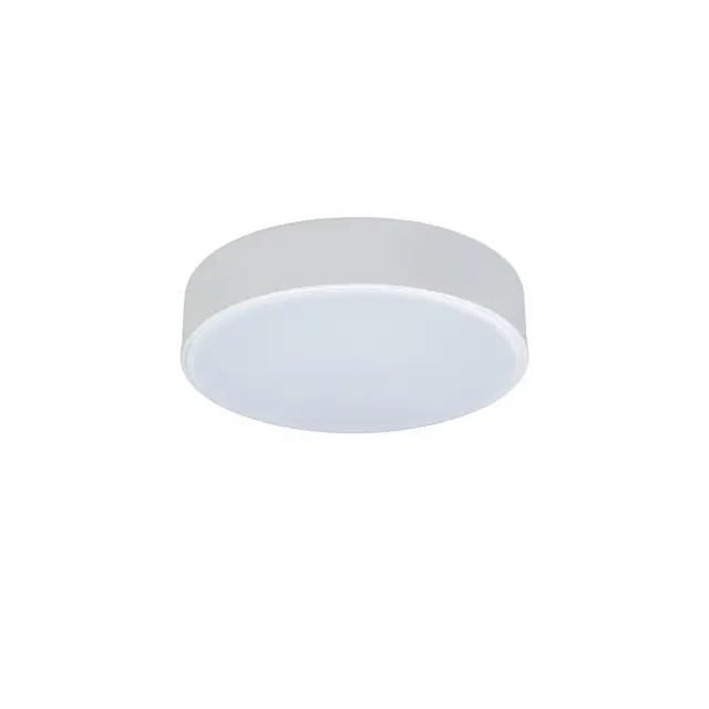 Светильник Loft IT 10002/12 White AXEL — белый