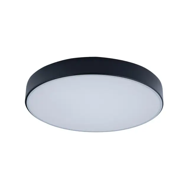 Светильник Loft IT 10002/24 Black AXEL — черный