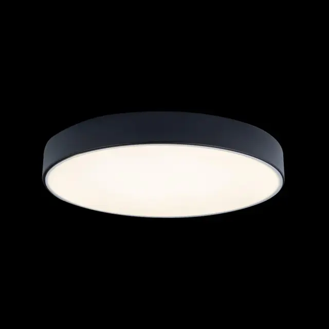 Светильник Loft IT 10002/24 Black AXEL — черный, ракурс 2