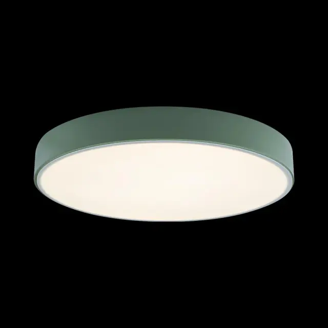 Светильник Loft IT 10002/24 Green AXEL — зеленый, ракурс 2