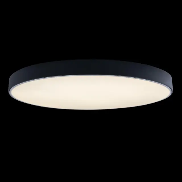 Светильник Loft IT 10002/48 Black AXEL — черный, ракурс 2