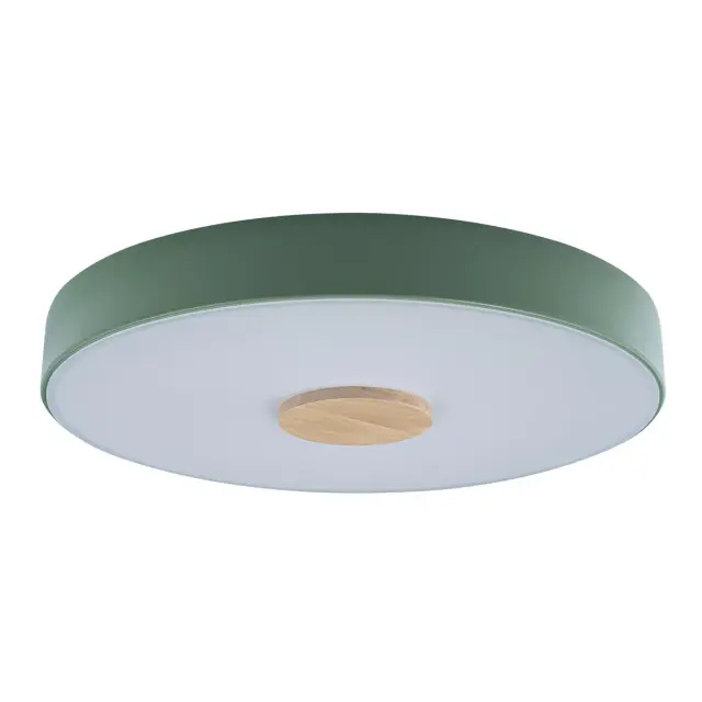 Светильник Loft IT 10003/24 Green AXEL — зеленый