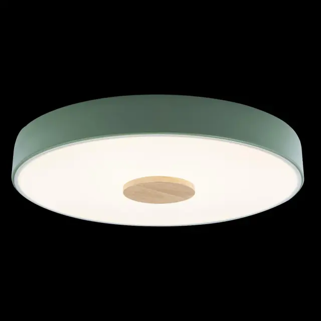 Светильник Loft IT 10003/24 Green AXEL — зеленый, ракурс 2