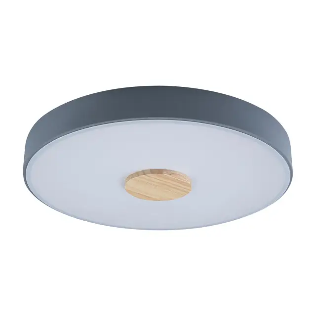 Светильник Loft IT 10003/24 Grey AXEL — серый
