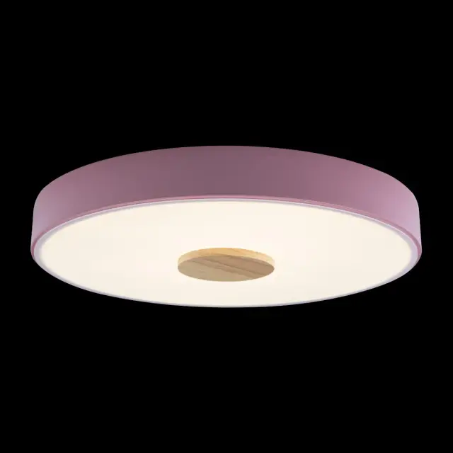 Светильник Loft IT 10003/24 Pink AXEL — розовый, ракурс 2