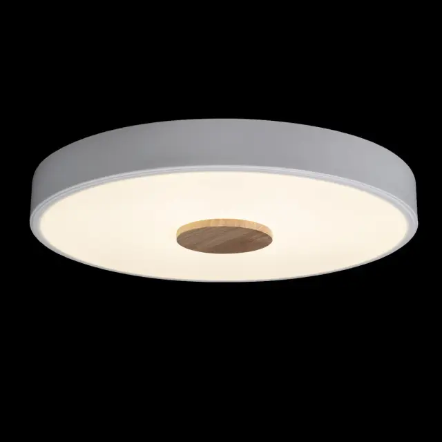 Светильник Loft IT 10003/24 White AXEL — белый, ракурс 2