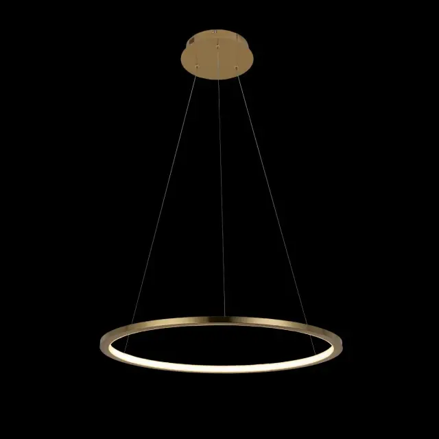 Светильник Loft IT 10014M RING — золотой, ракурс 2