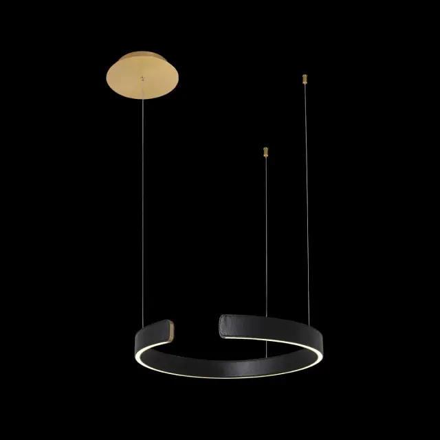 Светильник Loft IT 10025/400 Black RING — золотой, ракурс 2