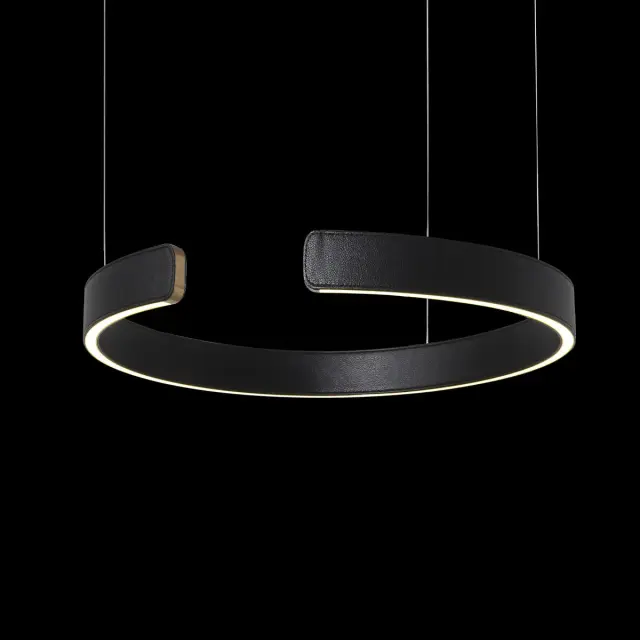 Светильник Loft IT 10025/400 Black RING — золотой, ракурс 4