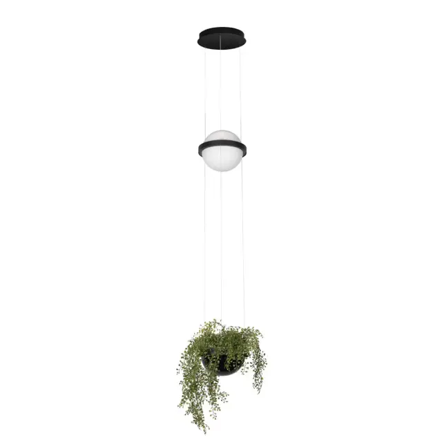 Светильник Loft IT 10121/B JARDIN — черный