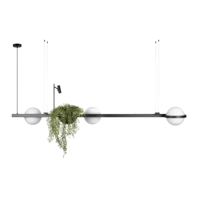 Светильник Loft IT 10121/C JARDIN — черный