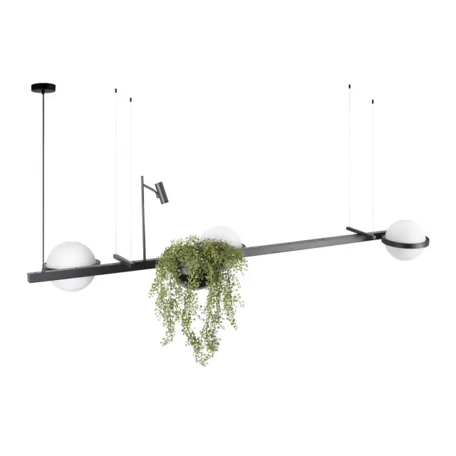 Светильник Loft IT 10121/C JARDIN — черный, ракурс 3