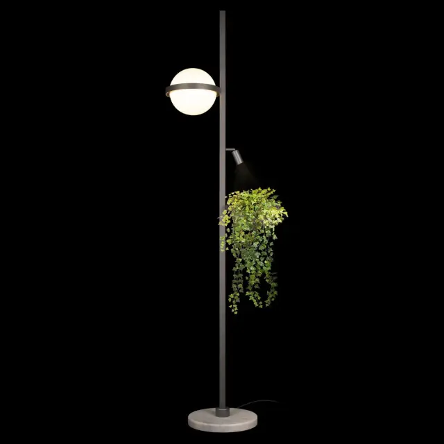 Торшер Loft IT 10121/F Dark grey JARDIN — черный, ракурс 4
