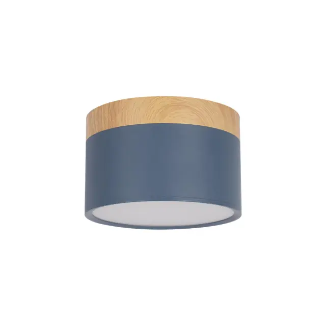 Точечный светильник Loft IT 10162 Blue GRAPE — синий