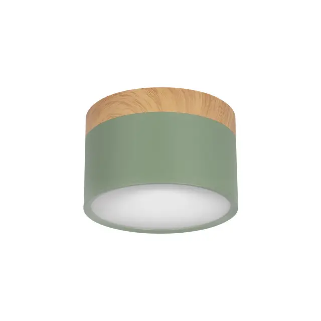 Точечный светильник Loft IT 10162 Green GRAPE — зеленый