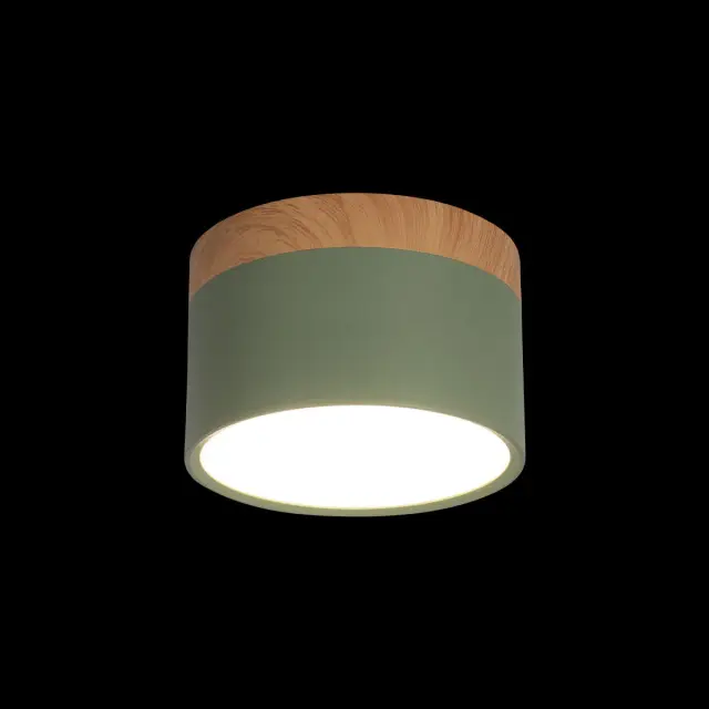 Точечный светильник Loft IT 10162 Green GRAPE — зеленый, ракурс 2