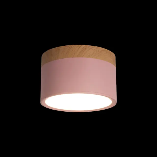 Точечный светильник Loft IT 10162 Pink GRAPE — розовый, ракурс 2