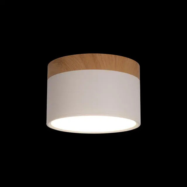 Точечный светильник Loft IT 10162 White GRAPE — белый, ракурс 2