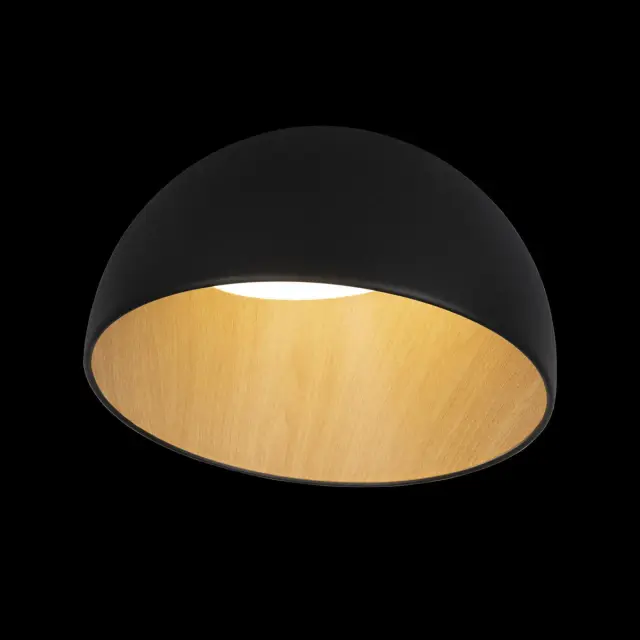 Светильник Loft IT 10197/350 Black EGG — черный, ракурс 2
