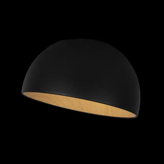 Светильник Loft IT 10197/350 Black EGG — черный, ракурс 5