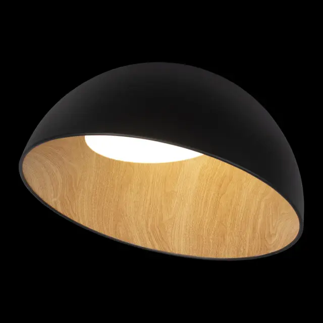 Светильник Loft IT 10197/500 Black EGG — черный, ракурс 2