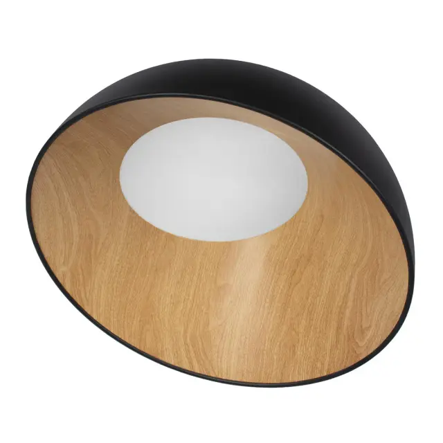 Светильник Loft IT 10197/500 Black EGG — черный, ракурс 3