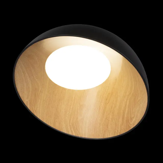 Светильник Loft IT 10197/500 Black EGG — черный, ракурс 4