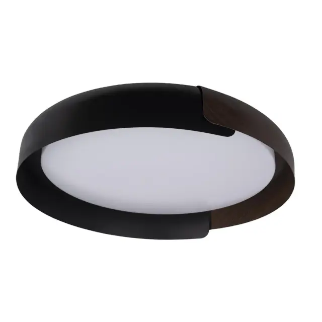 Светильник Loft IT 10198 Black COIN — черный