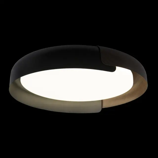 Светильник Loft IT 10198 Black COIN — черный, ракурс 2