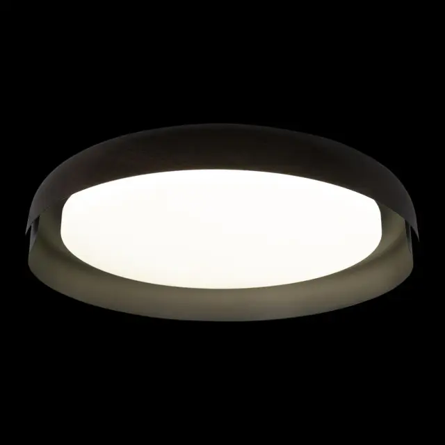 Светильник Loft IT 10198 Black COIN — черный, ракурс 4