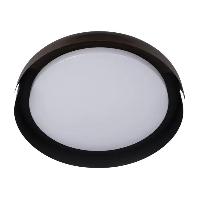 Светильник Loft IT 10198 Black COIN — черный, ракурс 5