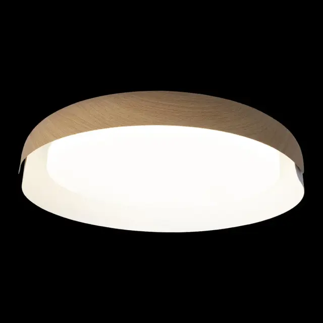 Светильник Loft IT 10198 White COIN — белый, ракурс 4