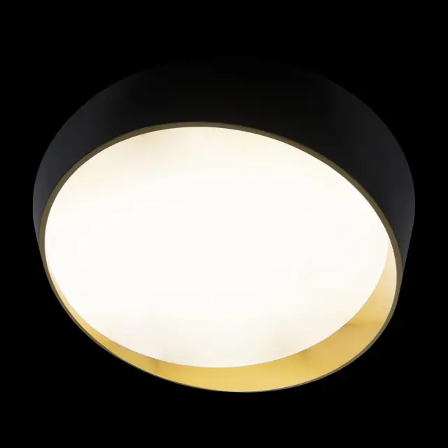 Светильник Loft IT 10199 Black COIN — черный, ракурс 4