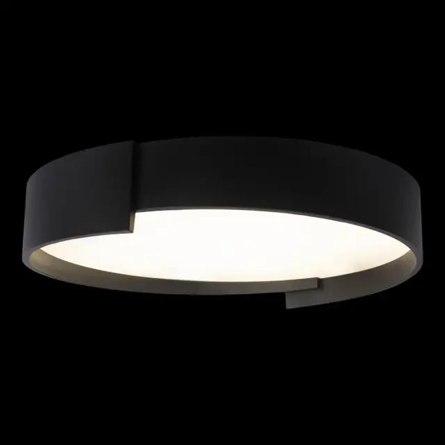 Светильник Loft IT 10200 Black COIN — черный, ракурс 2