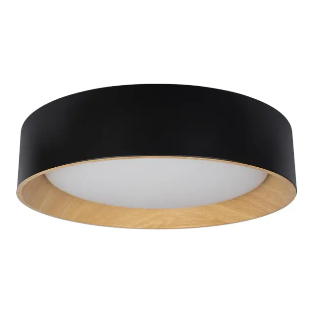 Светильник Loft IT 10202 Black COIN — черный