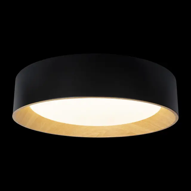 Светильник Loft IT 10202 Black COIN — черный, ракурс 2